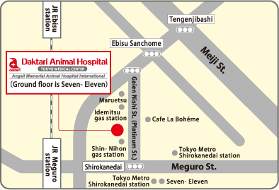 Tokyo Medical Center Map