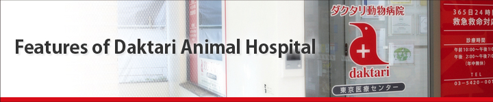 Features of Daktari Animal Hospital