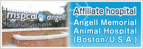Affiliate hospital　Angell Memorial Animal Hospital(Boston/U.S.A.)