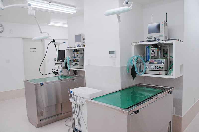 Anesthesia Preparation Area