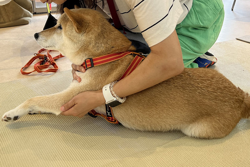 シニアクラスの様子